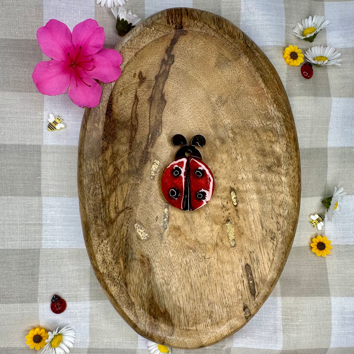 Médaille Coccinelle