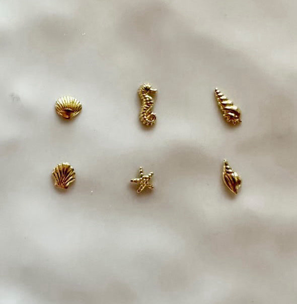 Médaille Tortue 2 effet Mer