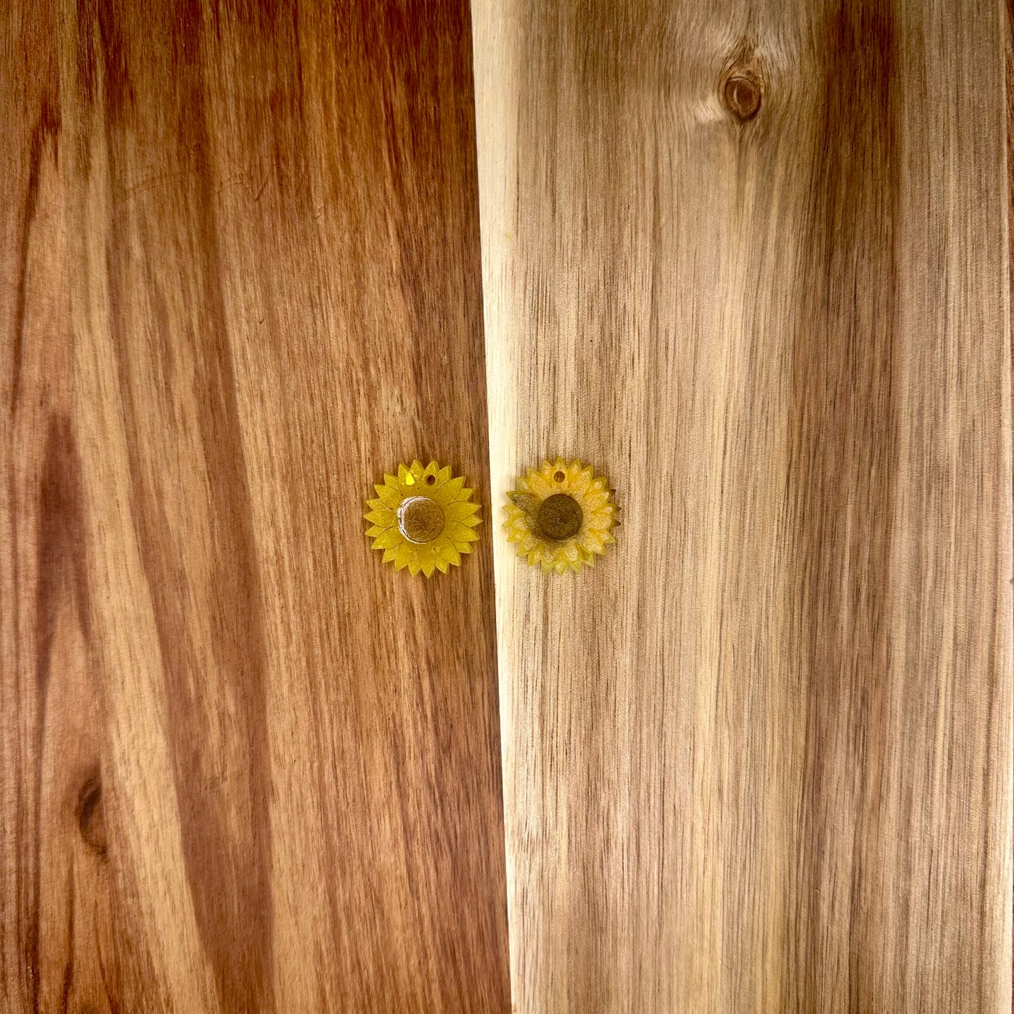 Médailles Tournesols