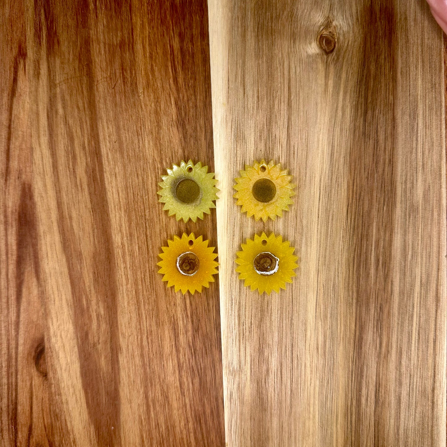 Médailles Tournesols