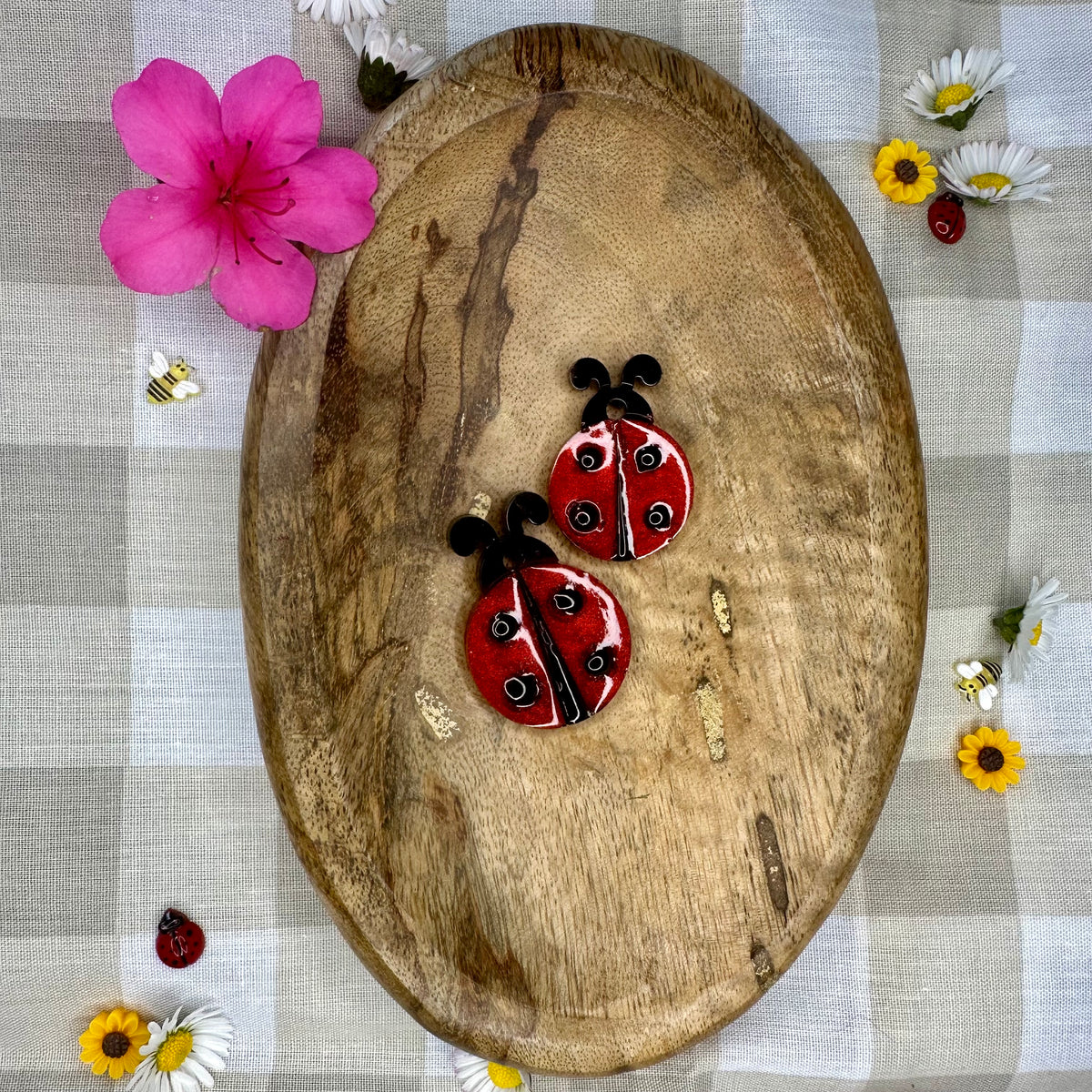 Médaille Coccinelle