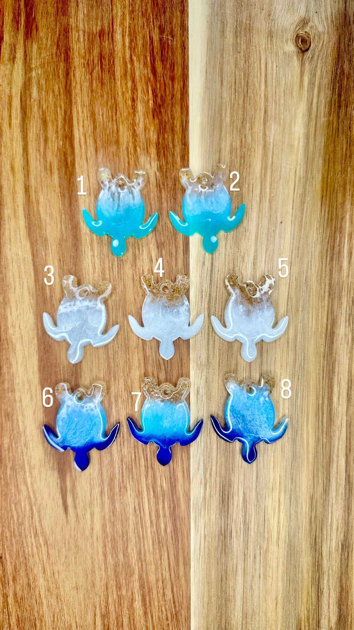 Médaille Tortue 2 effet Mer