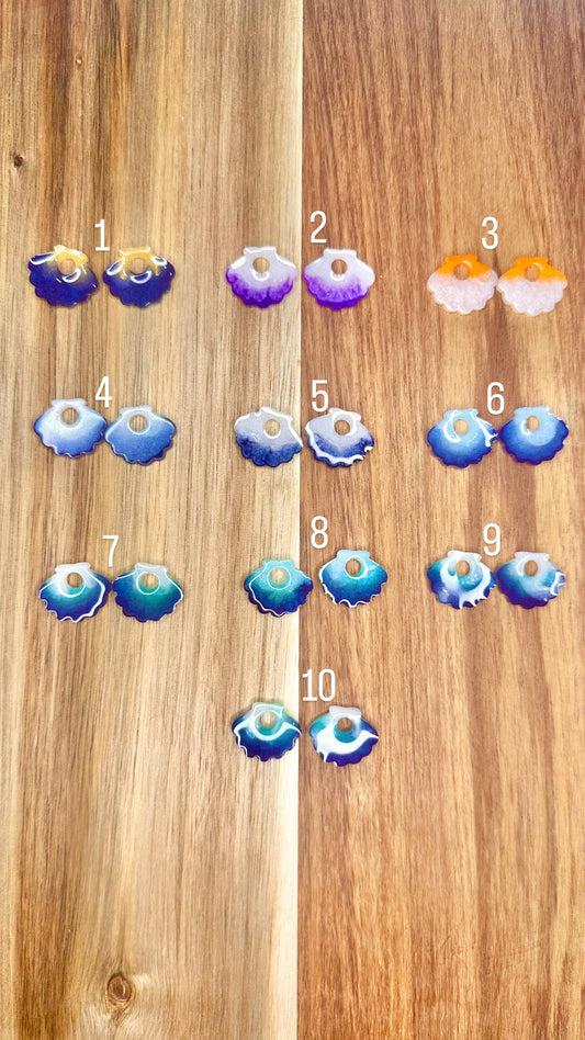 Pampilles Coquillages