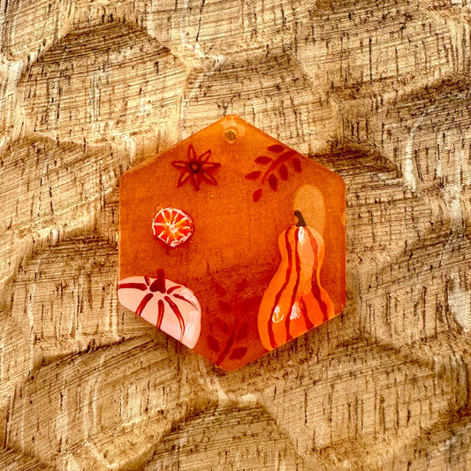 Médaille Collection été Indien