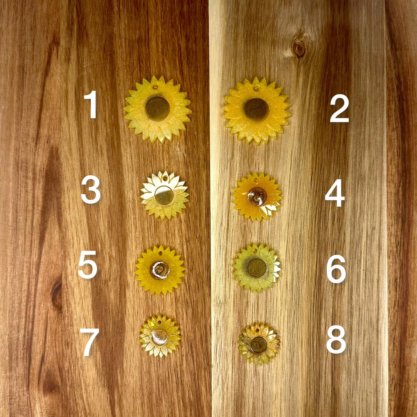 Médailles Tournesols